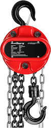 Chain Hoist 1t 12m