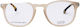 Lozza Plastic Eyeglass Frame Brown Tortoise VL4121 7T1M