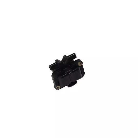 Induction Coil Smart Roadster 452 Beru Zs304