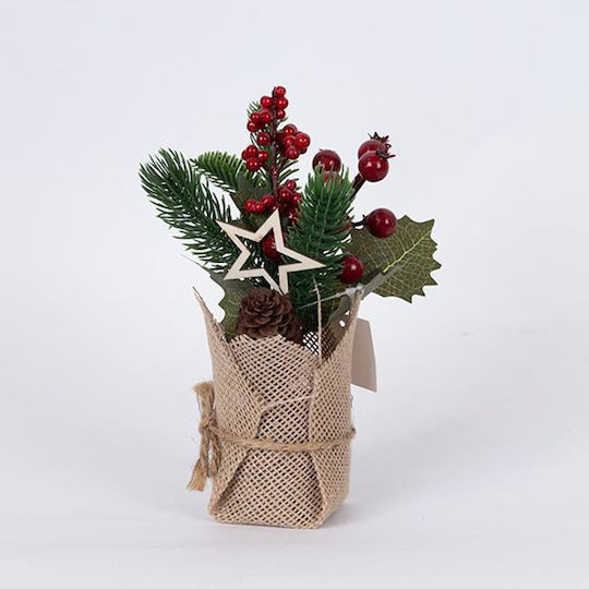 Schaukasten Kleiner Topf Stern Rote Beeren 12 Stück 22cm