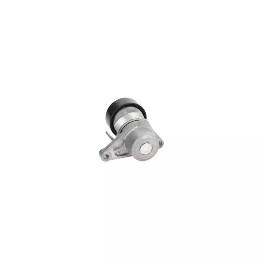 Belt Tensioner Citroen C3 Ii Dayco Apv2539