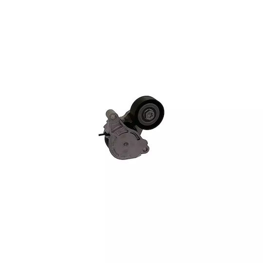 Belt Tensioner Bmw X1 F48 Dayco Apv3238