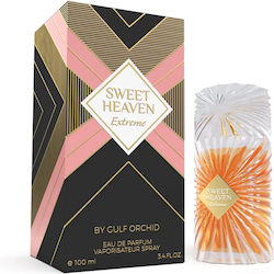 Gulf Orchid Sweet Heaven Extreme Gulf Orchid Sweet Heaven Extreme