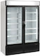 Tefcold Congelator Profesional 1149lt cu 2 Uși