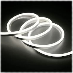 Andowl Wasserdicht LED-Streifen 12V mit Kaltweiß Licht 5m Andowl Wasserdicht LED-Streifen 12V mit Kaltweiß Licht 5m
