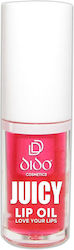 Dido Juicy Lip Oil Cherry 4ml