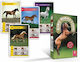 Brettspiel Horse Quartet für 2-4 Spieler 3+ Jahre Cartamundi
