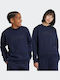Παιδικό Φούτερ Μπλε Graphic Crew Sweatshirt