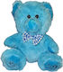 Blue Plush Teddy Bear 25cm