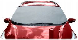 Covoraș de Protecție Parbriz cu Izolație Termică Carpassion 145x175x95 Cm
