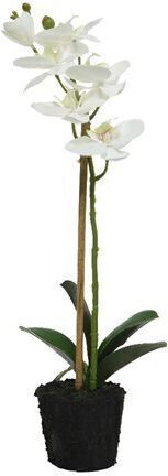 Jardi Τεχνητο Λουλουδι Ορχιδεα 24x17x45cm- Λευκο