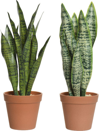 Jardi Τεχνhto Φυτο Sansevieria Φ11x37cm - Πρασινο