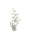 Eucalyptus Branch Artelibre Artificial Green 10x5x90cm
