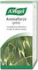 A.Vogel Tinktur Avenaforce 100ml