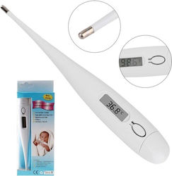 Digital Thermometer Digital Thermometer