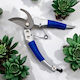 Pruning Shears