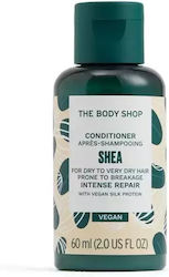 Body Shop Conditioner Shea 60 Ml Body Shop Conditioner Shea 60 Ml