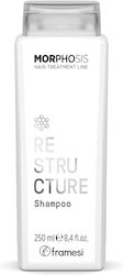 Framesi Morphosis Restructure Shampoos Reconstruction/Nourishment 250ml Framesi Morphosis Restructure Shampoos Reconstruction/Nourishment 250ml