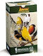 Ornitalia-ideal Carduelidi-trocken Futter für Insektenfresser 1kg