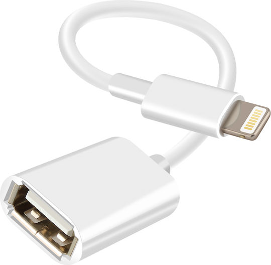 Adaptor Încărcător Avizar USB Femelă la Toning Masculin Alb