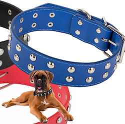 Dog Collar In Blue Color