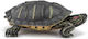 Papo Figur Florida-Schildkröte 50309