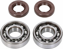 Naraku Crankshaft Bearing