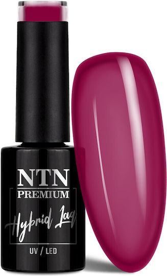 NTN Premium Halb-permanenter Nagellack 271 5gr 1Stück