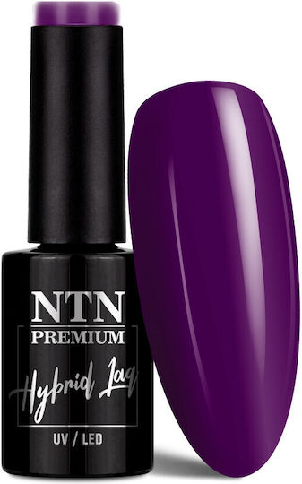 NTN Premium Semipermanent Lac de Unghii 294 5gr 1buc