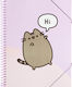 Pusheen Φάκελος Διαφανής με Λάστιχο και Αυτιά για Χαρτί A4 Ροζ