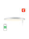 Gosund Smart Ceiling Mount Light 32pcs White with Integrated LED and Remote Control