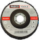 Pasco Polishing Fur 2011220096252