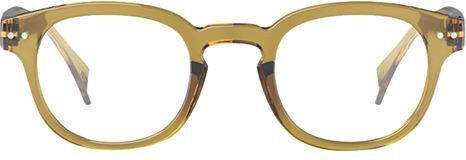 Izipizi Reading Glasses +1.00 In Green Color