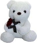 Plush Teddy Bear 38cm