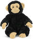 Plush Chimpanzee