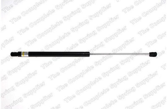Lesjofors Trunk Shock