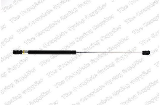 Lesjofors Trunk Shock