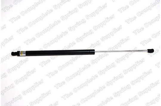 Lesjofors Trunk Shock