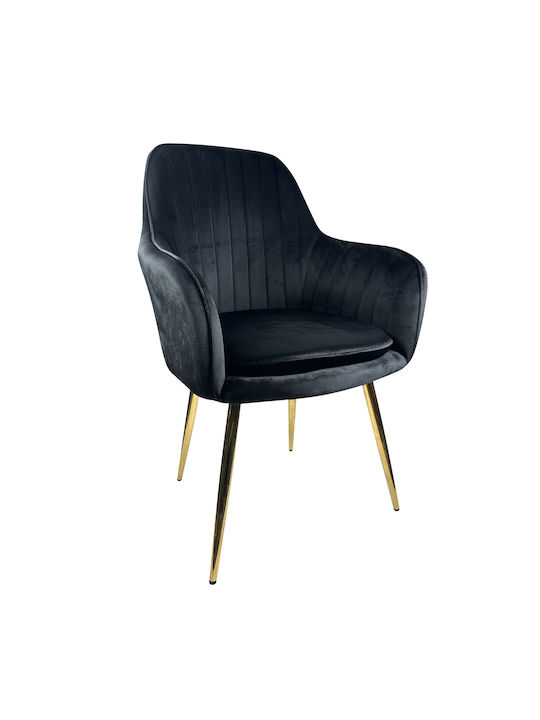 Myrtle Stühle Speisesaal Black/Gold 1Stück 57x4...