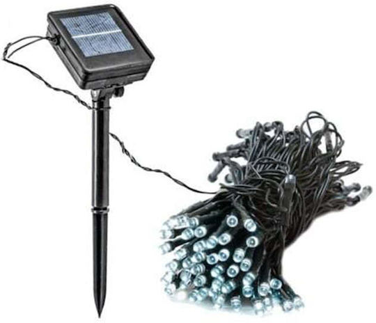 Solar Light