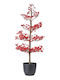 Weihnachtsbaum 105cm im Topf Rot