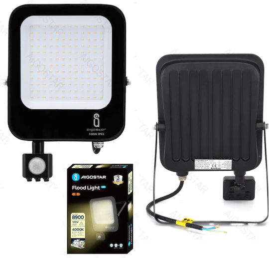 Aigostar Στεγανός Προβολέας LED 100W Φυσικό Λευκό 4000K IP65