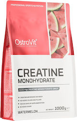 Ostrovit Pure Creatine Monohydrate Powder 1000 Γραμμάρια Καρπούζι Ostrovit Pure Creatine Monohydrate Powder 1000 Γραμμάρια Καρπούζι