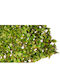 Artificial Foliage in Trellis 3x1m