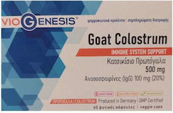Viogenesis Goat Colostrum 500mg Viogenesis Goat Colostrum 500mg