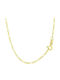 Tasoulis Jewellery Collection Gold Chain Neck 9K