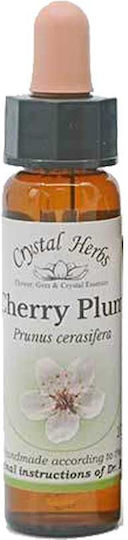 Crystal Herbs Δαμασκηνιά (cherry Plum) Ανθοΐαμα 10ml 1τμχ