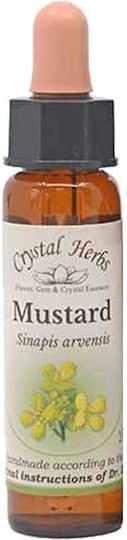 Crystal Herbs Λαψάνα (mustard) Ανθοΐαμα 10ml 1τμχ