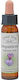 Crystal Herbs Έρωτας (impatiens) Flower Essence 10ml 1pcs