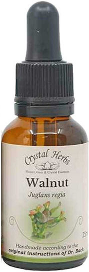 Crystal Herbs Καρυδιά (walnut) Esență Florală 25ml 1buc
